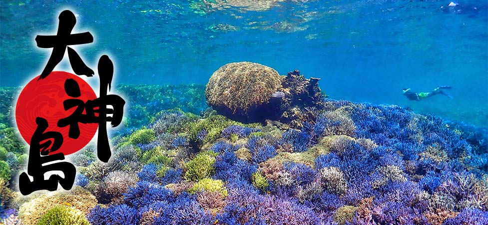 大神島の色鮮やかな珊瑚