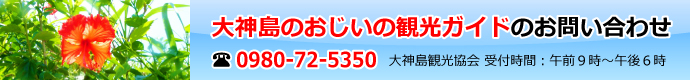 大神島のおじいの観光ガイドのお問い合わせtel:0980725350